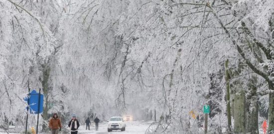 Nevadas históricas y frío ártico afectan a 15 estados y dejan más de 30 muertos
